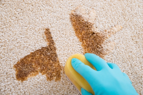 Try These 3 Hacks for Carpet Cleaning Stains