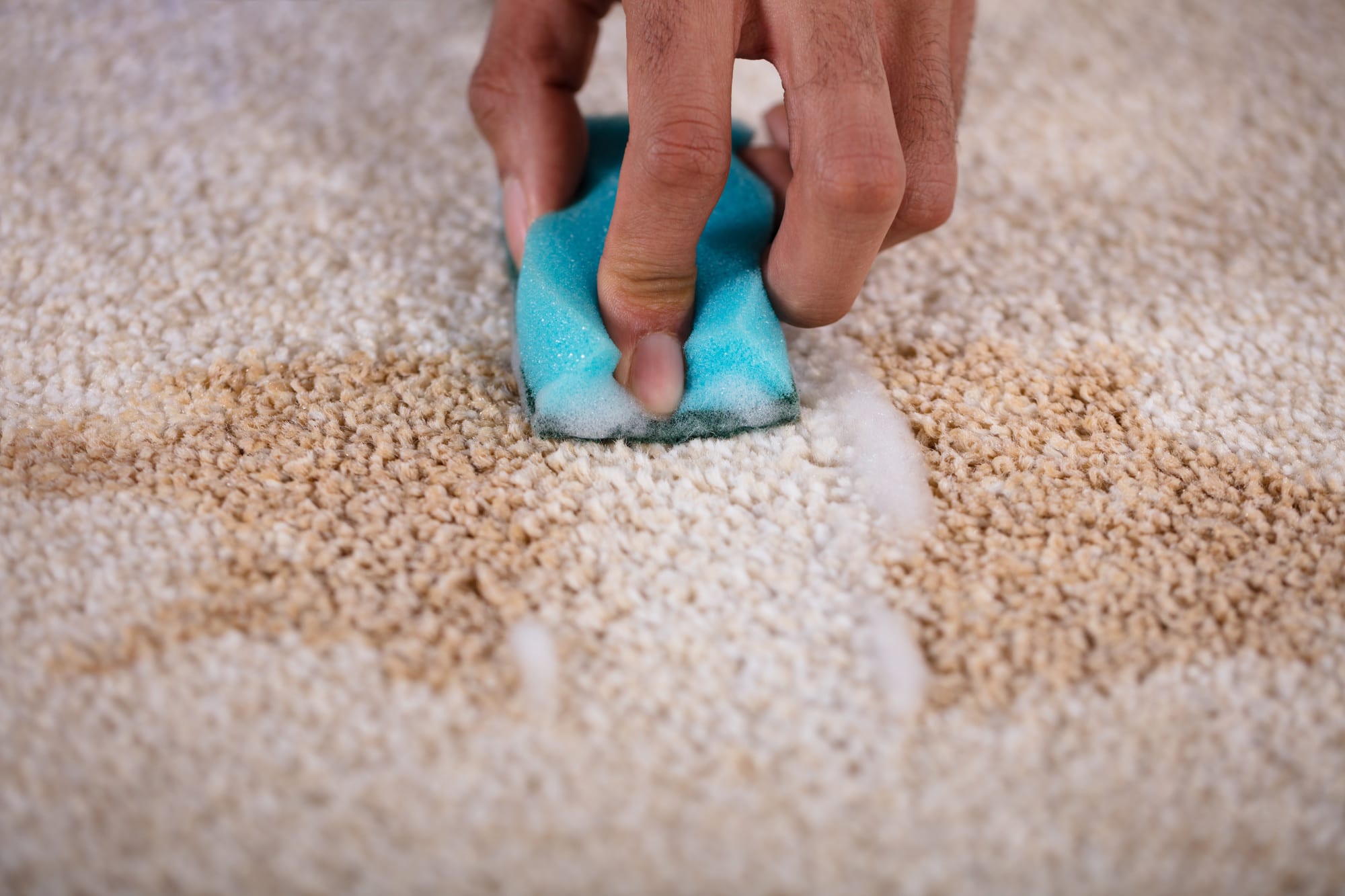 5 Quick Tips for Cleaning Carpet Stains