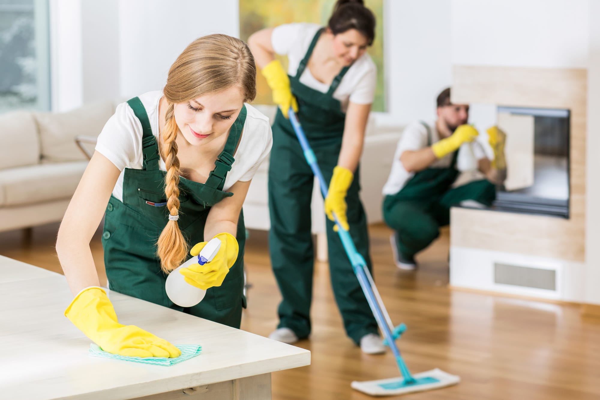 professional cleaner