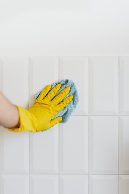 7 Reasons to Hire a Professional to Do Your Regular Household Cleaning